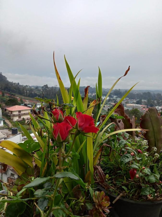 La Rose Home Stay Nuwara Eliya Exterior photo